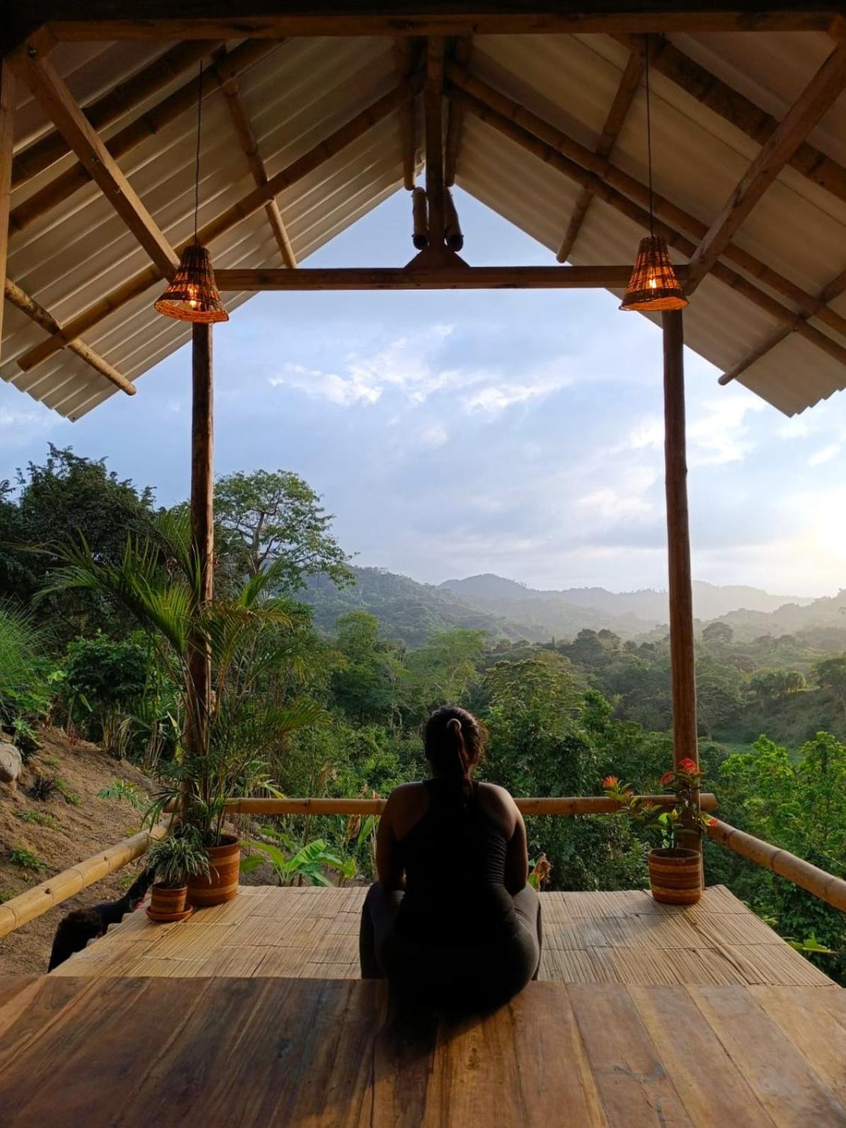 La Mona Eco Cabins Паломино Екстериор снимка